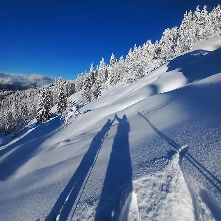 Heidi's Hideaway *